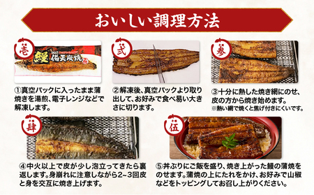 1642-1 九州産 卵うなぎ 備長炭手焼 『鯉家匠うなぎ』の蒲焼 2尾 計300g KN029-005-01 うなぎ ウナギ 鰻 うなぎ蒲焼 鰻蒲焼き ウナギ蒲焼 惣菜 総菜 魚類 魚貝類 魚介類 