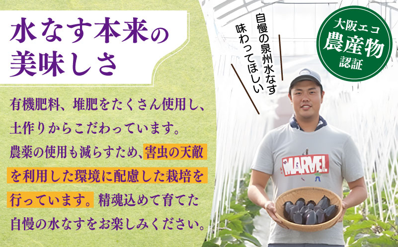 【先行予約】朝採り直送 徳用水なす 15個 訳あり 規格外 099H4539