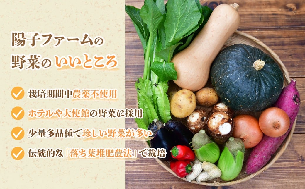 野菜 ヤサイ やさい 春野菜 はるやさい ハルヤサイ 夏野菜 なつやさい ナツヤサイ 秋野菜 あきやさい アキヤサイ 冬野菜