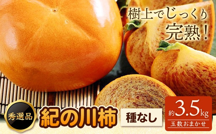 
                  【先行予約】希少 紀の川柿 約3.5kg（種無し）秀選品 厳選館 《2026年11月上旬-11月中旬頃出荷》 和歌山県 日高川町 柿 カキ かき 紀の川柿 平核無柿 ひらたねなしかき 樹上完熟 ジューシー フルーツ 旬 種なし 玉数おまかせ
                