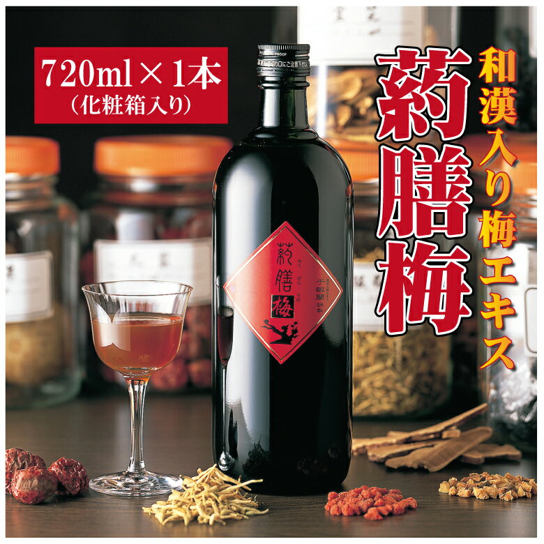 【ふるさと納税】【12月25日受付分まで年内発送】 高級和漢入り梅エキス　葯膳梅