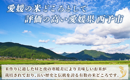 ＜令和7年産 お米 食べ比べ 3種セット 合計約6kg（各2kg）＞ 米 コメ こめ 白米 精米 コシヒカリ にじのきらめき ヒノヒカリ 穀物 特産品 宇都宮米穀 愛媛県 西予市【常温】『最短10営業