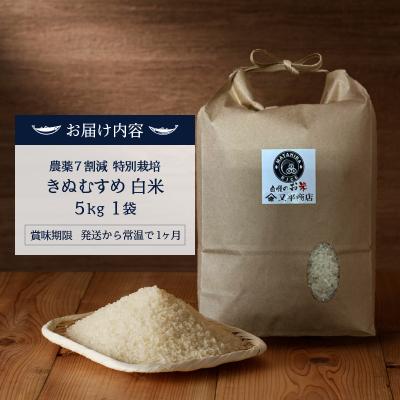 ふるさと納税 焼津市 令和7年産 農薬7割減 特別栽培 きぬむすめ 白米5kg(a15-699) |  | 03