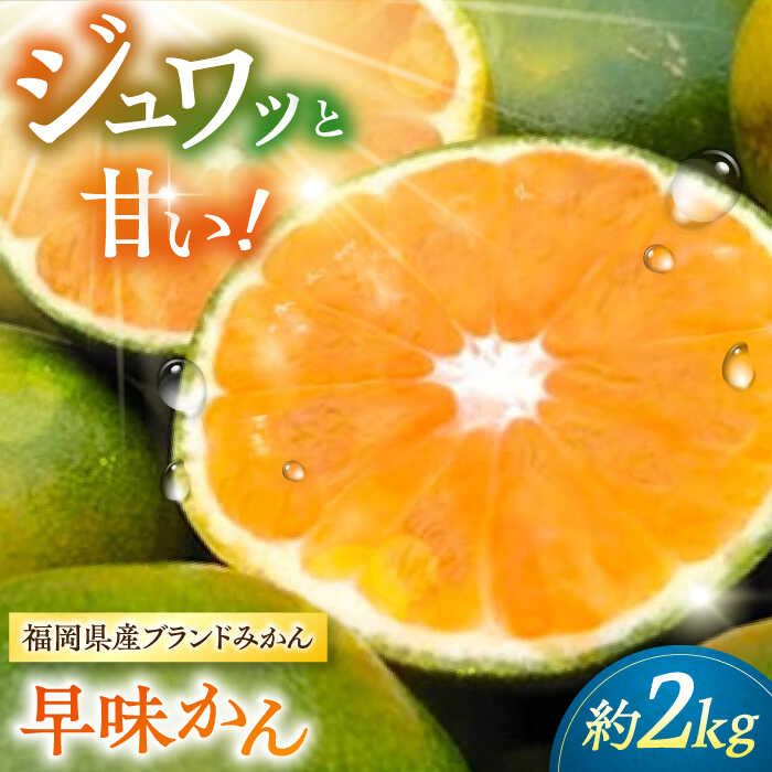 【ふるさと納税】【2025年9月中旬より発送】福岡産ブランドみかん 早味かん 約2kg ▼ 果物 ミカン フルーツ 九州産 国産 人気 おすすめ ランキング 高評価 桂川町/南国フルーツ株式会社[ADBW022]