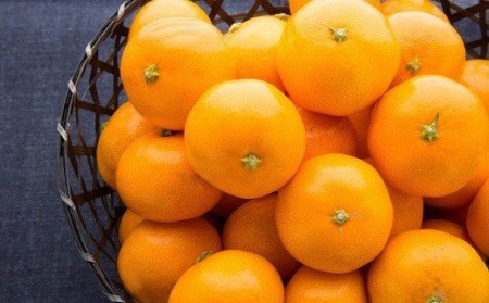 商標登録 潮風みかん 5kg 高知県 黒潮町産［1289-2］