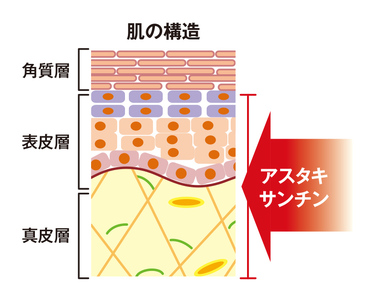 サプリメント 飲むアスタキサンチンAX 約30日分 60粒 抗酸化作用 血中脂質 肌の潤い 美容 健康 機能性表示食品 FUJIFILM 静岡県 富士市 [sf001-380]