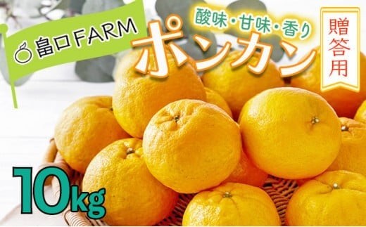 【先行予約】ポンカン 贈答用 10kg