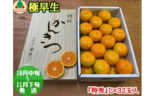 
                  極早生 有田 みかん 化粧箱 特秀 L サイズ 32玉入 南泰園 和歌山 有田みかん
                