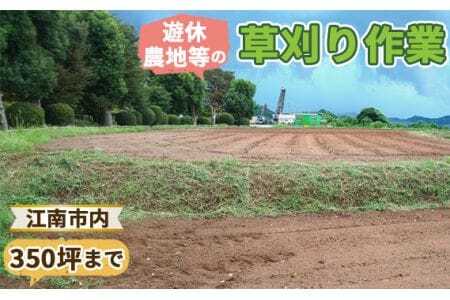 遊休農地等の草刈り作業（350坪、1155平方メートルまで） ／ 除草作業 草刈り作業 代行 耕作放棄地 遊休農地 草刈り 地域密着 清掃 お手伝い 草むしり  送料無料 愛知県 No.125