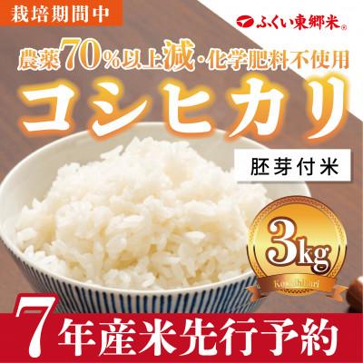 ふるさと納税 福井市 令和7年産 ふくい東郷米 特別栽培米 栽培期間中農薬70%減コシヒカリ 胚芽付3kg×1袋【真空袋】