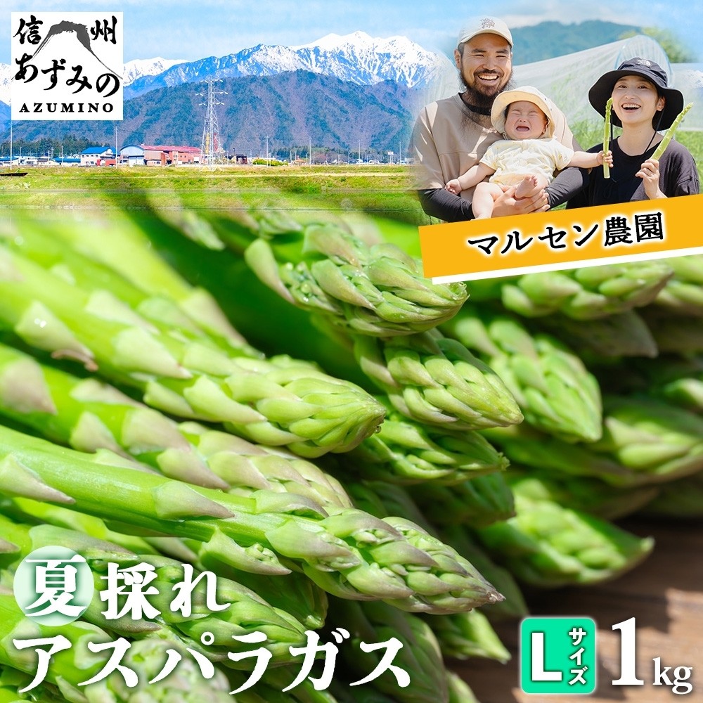 
                  グリーンアスパラガス １kg　【Lサイズ】　☆朝採れ直送☆　〈期間限定!〉　
                
