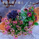 【ふるさと納税】季節の寄せ植え