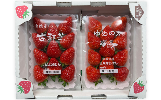 奈良県産いちご「古都華」と「ゆめのか」の”食べくらべ”　合計2パック【配送不可地域：離島】