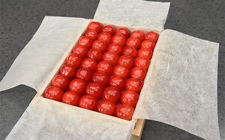【2027年先行予約】山形県産さくらんぼ 紅秀峰 特秀品 2L玉サイズ 300g 鏡詰め 桐箱入り FSY-1093