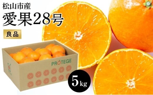 
            【愛果28号】約5kg（良品）＜11月下旬から順次発送＞ |先行予約 愛果28号 まどんな 柑橘 みかん 果物 くだもの フルーツ おすすめ 高級 人気 お取り寄せ グルメ ギフト 期間限定 数量限定 ご当地 愛媛県 松山市
          