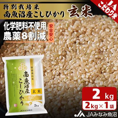 ふるさと納税 南魚沼市 【令和7年産】限られた匠がつくる「特別栽培米南魚沼産こしひかり8割減」玄米2kg