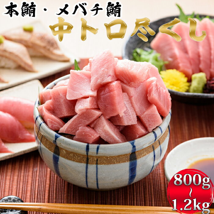 【ふるさと納税】【日時指定可能】中トロセット 合計800g～1.2kg [0040-0024] 鮪 マグロ まぐろ 魚 海鮮 中トロ トロ 本マグロ メバチマグロ 刺身 寿司