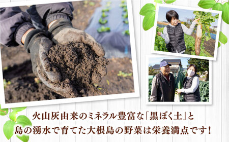 【全4回定期便】島採れ野菜+宍道湖産大和しじみ 島根県松江市/株式会社ふぁーむ大根島[ALCB002]