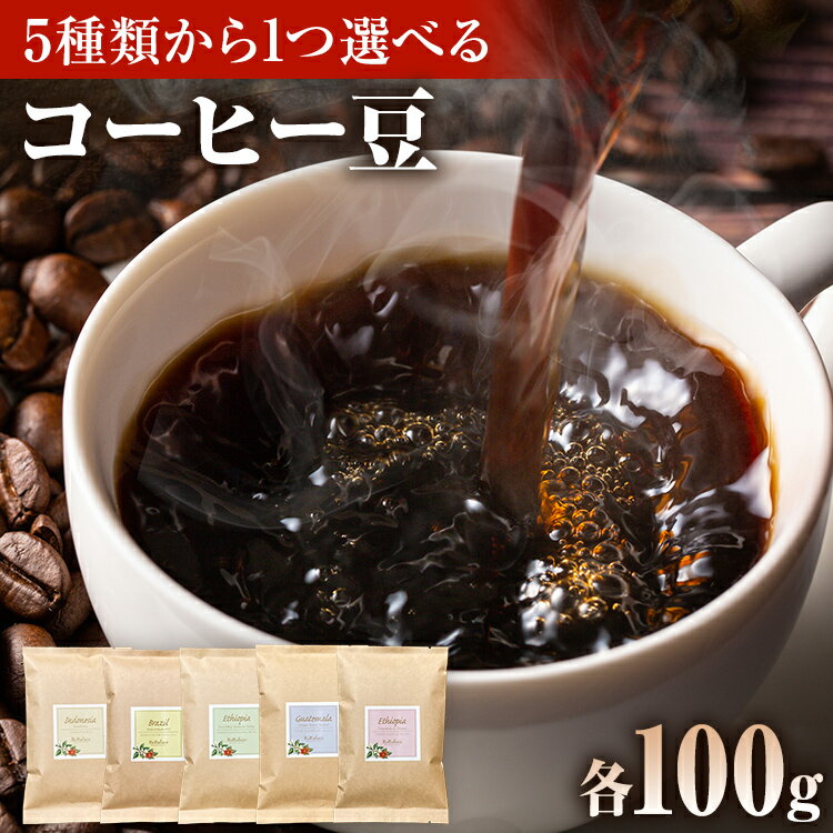 【ふるさと納税】コーヒー豆 種類が選べる 5種類 焙煎 珈琲豆 珈琲 豆 豆のまま 100g グァテマラ ブラジル インドネシア エチオピア コチャレ ゲイシャ お試し 自家焙煎 ドリンク 飲料