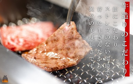 世界が絶賛した“とろける和牛”幻の石原牛 赤身・霜降り食べ比べ焼肉300g ( 鹿児島黒毛和牛 ブランド牛 牛肉 ビーフ こだわり プレミアム オメガ３脂肪酸 贈答 ギフト 徳之島 奄美 鹿児島 美味