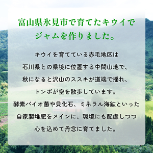 キウイジャム （150g×2瓶） 氷見キウイランド ジャム キウイ 国産 フルーツジャム 富山県  氷見市