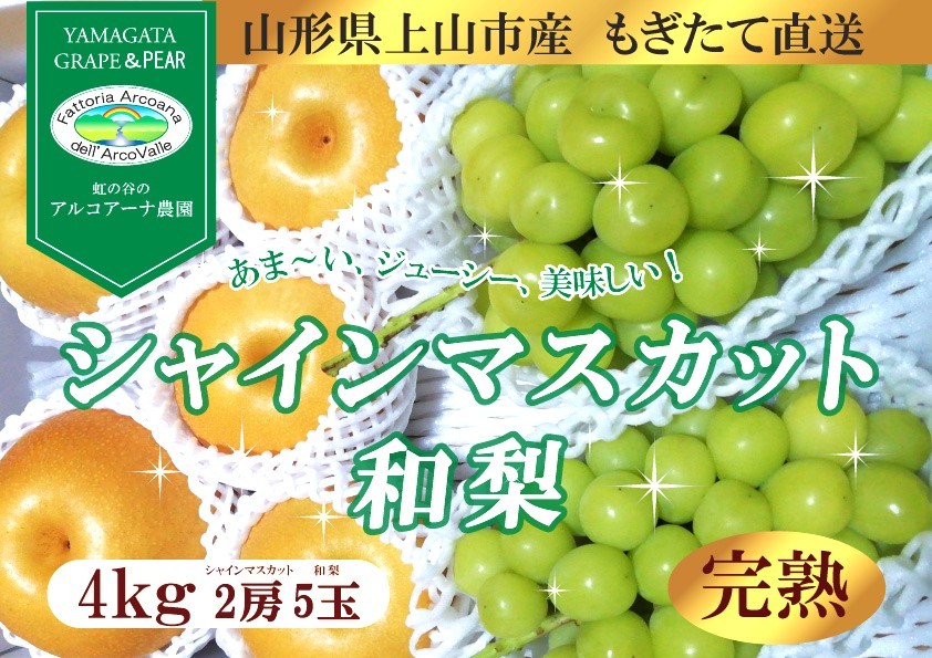 
                  【直送便】完熟シャインマスカットと和梨セット（大）　0148-2612
                