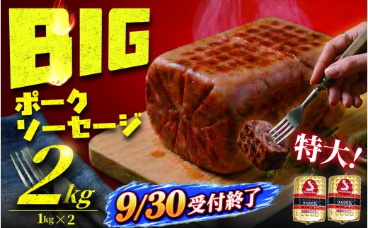 ソーセージ 2kg 1kg × 2 ポークソーセージ  ウインナー ウィンナー  そーせーじ うぃんなー 加工 食品 弁当 おかず スライス バーベキュー ソーセージステーキ ソーセージカツ サラダ 人気 大容量 サガミハム エア・ウォーターアグリ＆フーズ株式会社 湘南 神奈川 藤沢