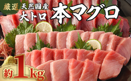 【数量限定】 厳選 天然 本マグロ 大トロ 1kg以上 国産 マグロ 鮮魚 魚 刺身 刺し身 漬け丼 海鮮丼 おかず 魚介類 海鮮 海産物 まぐろ 本まぐろ 鮪 ブロック  惣菜 冷凍 美阿丸 高知県 室戸市