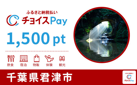 
            君津市チョイスPay 1,500pt【会員限定のお礼の品】
          