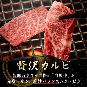 白糠牛 手切りカルビスライス【1kg（500g×2）】_I017-1013