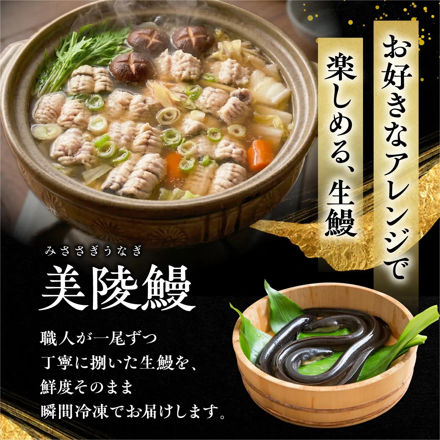 鰻 美陵鰻の生鰻 2尾 / 美陵鰻 鰻 うなぎ ウナギ 蒲焼 蒲焼き かば焼き 白焼き 白焼 肉厚 ひつまぶし うな重 うな丼 タレ 山椒 国産 スタミナ 土用 丑の日 土用の丑の日 贈答 ギフト /