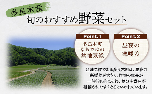【数量限定】野菜ソムリエ 監修 旬の おすすめ 野菜 セット ４〜6品 (1〜2名様向け) 野菜 獲れたて 直送 旬 熊本県 多良木町 024-0801
