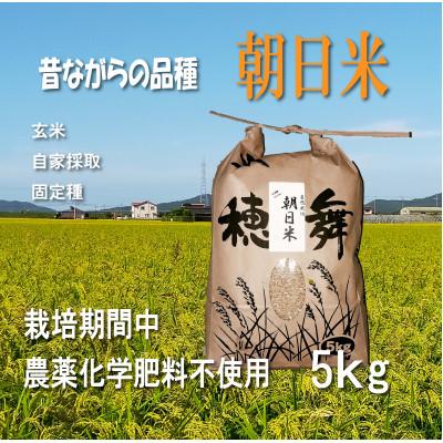 ふるさと納税 防府市 栽培期間中農薬・肥料不使用で作った朝日米　玄米5kg