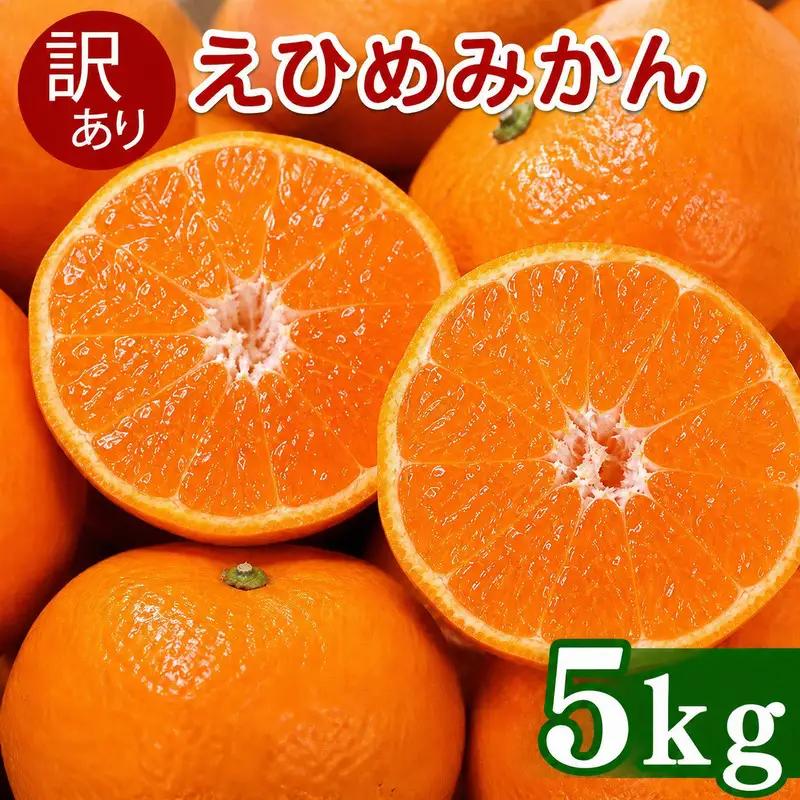 【先行予約】 訳あり 愛媛みかん 5kg  傷み補償 250g 清家ばんかんビレッジ