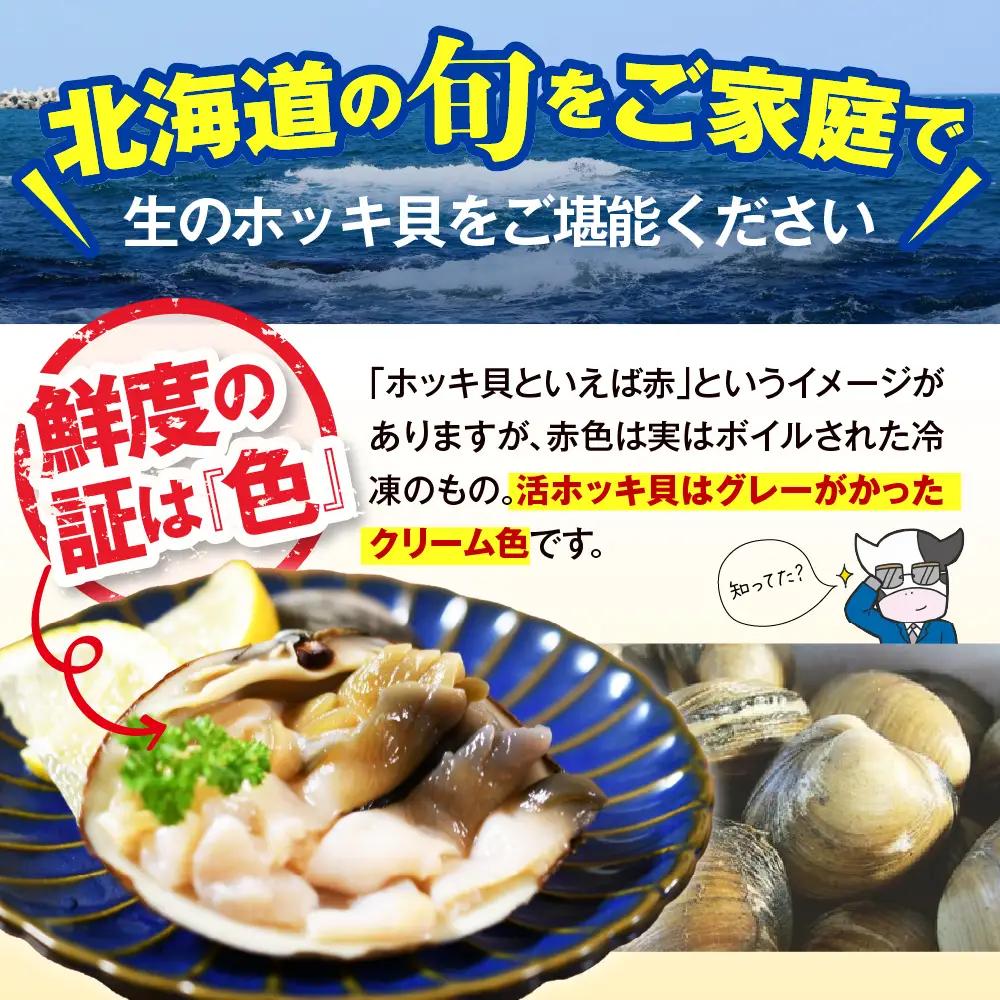 【数量限定】獲れたて直送 ホッキ貝 約2kg | ホッキ貝 豊富町