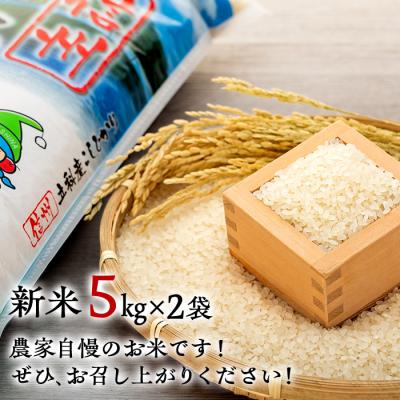 ふるさと納税 立科町 信州立科産コシヒカリ5kg×2袋(令和7年産新米) |  | 02