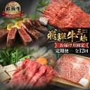 【ふるさと納税】《まるごと定期便》12回 固定月 厳選 お届け 飛騨牛 三昧 肉 肉づくし 白川郷 もも肉 切り落とし サーロイン ステーキ しゃぶしゃぶ すき焼き300000円 30万円 国産 焼肉 カルビ 牛肉 A4 A5 ロース 焼肉 赤身 霜降り 食べ比べ 岐阜県 白川村 お楽しみ [S634]