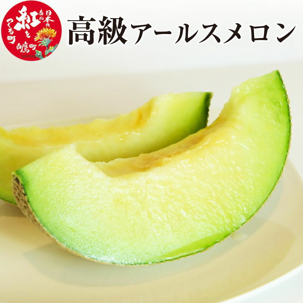 【ふるさと納税】＼レビューキャンペーン実施中／ 高級アールスメロン 1玉 山形県産 果物 フルーツ 【2025年9月上旬に順次発送予定】
