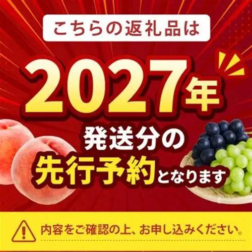 2027年発送先行受付【シンガポールセレブ御用達】世界レベルで通用する『幻のシャトーブリアン桃』【配送不可地域：離島・北海道・沖縄県・中国・四国・九州】【1586232】