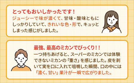 【2月〜3月発送】【幻のみかん】タッチの甘熟「今村温州みかん」5kg【夢の完熟みかん タッチ】フルーツ 果物 佐賀 みかん 温州 みかん みかん 今村温州 みかん フルーツ みかん 果物 みかん みか