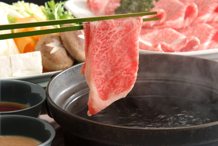 【厳選部位】おおいた豊後牛サーロインしゃぶしゃぶすき焼き用 500g