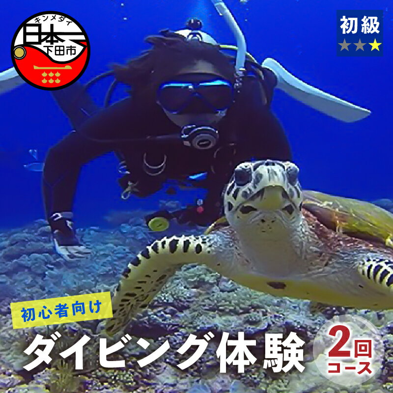 【ふるさと納税】 ダイビング 体験 海 初心者 2回 コース アウトドア スポーツ アクティビティ マリンスポーツ レジャー 静岡 伊豆 下田 南伊豆 ドラゴンレディ