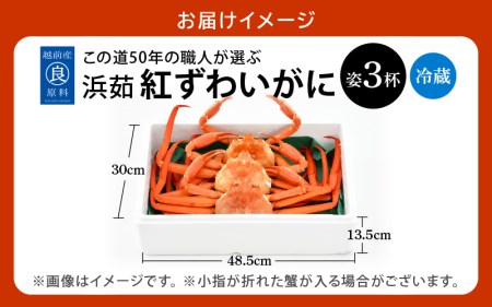 かに 紅ずわいがに≪浜茹で≫ × 3杯 この道50年の職人が選びました！【1月発送分】【カニ 蟹 姿 冷蔵 福井県】【紅ズワイガニ 紅ずわい蟹 ボイル】希望日指定可 備考欄に希望日をご記入ください [