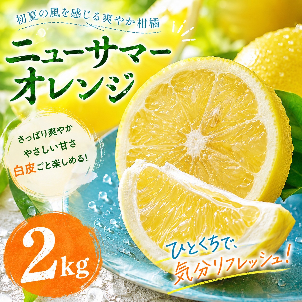 
                  【選ぶならこれ】 初夏の爽快感 【ニューサマーオレンジ】 2kg 愛媛県産 【2027年4月中旬頃から順次発送】 | みかん ミカン mikan 蜜柑 訳ありフルーツ 柑橘 果物 おすすめ お勧め お取り寄せ ギフト 愛媛県 松山市
                