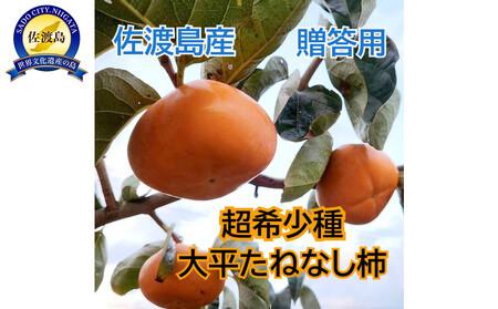 佐渡島の希少柿　大平たねなし柿6個　贈答用