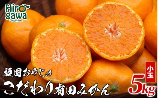 頑固オヤジの 有田 みかん 小玉 5kg / 温州みかん 有田みかん 甘い 小粒 ちっちゃい 家庭用 訳あり 和歌山 柑橘 ※2026年11月中旬～2027年1月下旬頃に順次発送 【krf004-s-5B】