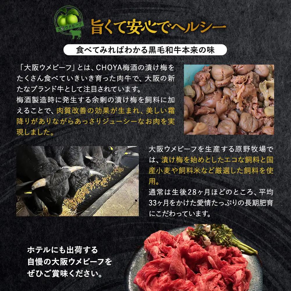 大阪ウメビーフ　切り落とし500g