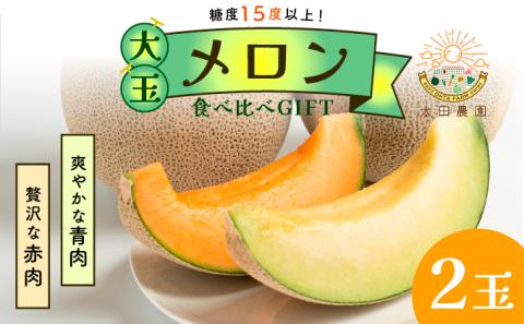 太田農園メロン“GIFT”赤肉メロン＆青肉メロンセット（各1玉ずつ） 2025年 先行予約 メロン セット 赤肉 赤肉メロン 青肉 青肉メロン 高級 果物 フルーツ デザート 新潟 夏フルーツ