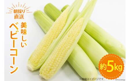 ベビーコーン 約5kg [ラハマン農園 山梨県 中央市 21470819] トウモロコシ とうもろこし ベビーコーン ヤングコーン 期間限定 季節限定 数量限定 産地直送 【2026年5月上旬～6月上旬発送予定】