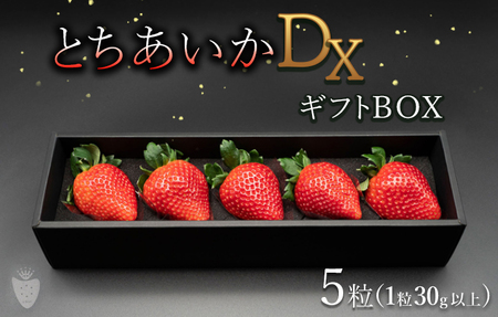 いちご とちあいか DX ギフトBOX（5粒）※2026年11月～発送
